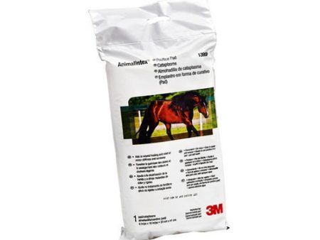 Animalintex Poultice Pad 1 Each by 3M For Cheap