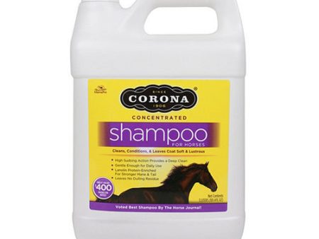 Corona Concentrated Shampoo 3 Litres by Corona Hot on Sale