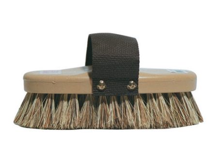 The Thoroughbred Brush-3 8  Medium-Stiff Brown GF9 1 Count by Grip-Fit on Sale