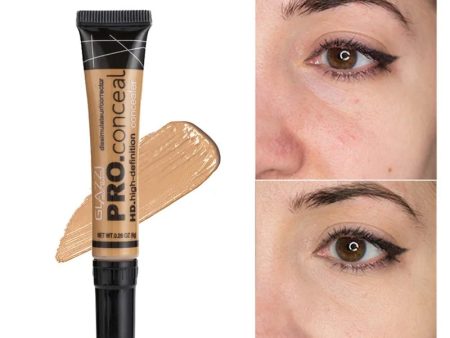 Concealer Makeup Liquid Foundation 6g Supply