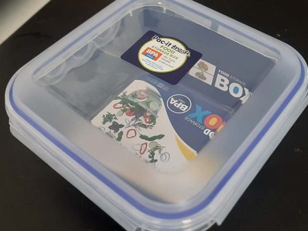 Lunch Box BPA Plastic 900 ml Online now