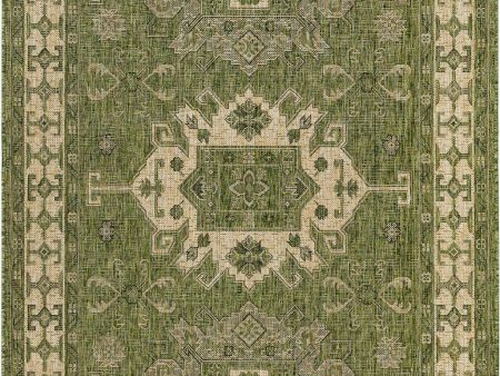 Trans Ocean Carmel 8409 06 Kilim Green Area Rug by Liora Manne For Sale