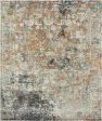 Ancient Boundaries Tourne TOU-05 Area Rug Discount