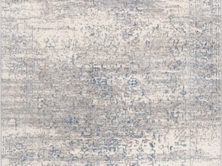 Surya Zermatt ZRT-2335 Area Rug Hot on Sale