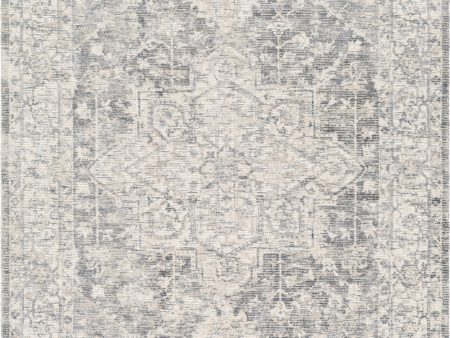 Surya Wilson WSN-2303 Area Rug Online now