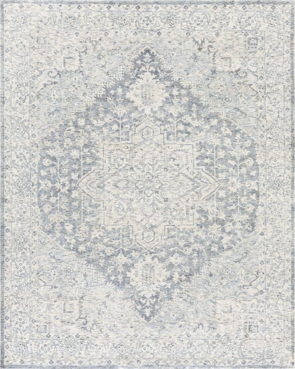 Surya Wilson WSN-2303 Area Rug Online now