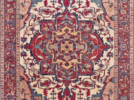 Surya Iris IRS-2339 Area Rug Online now