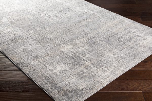 Surya Zermatt ZRT-2304 Area Rug Online Sale